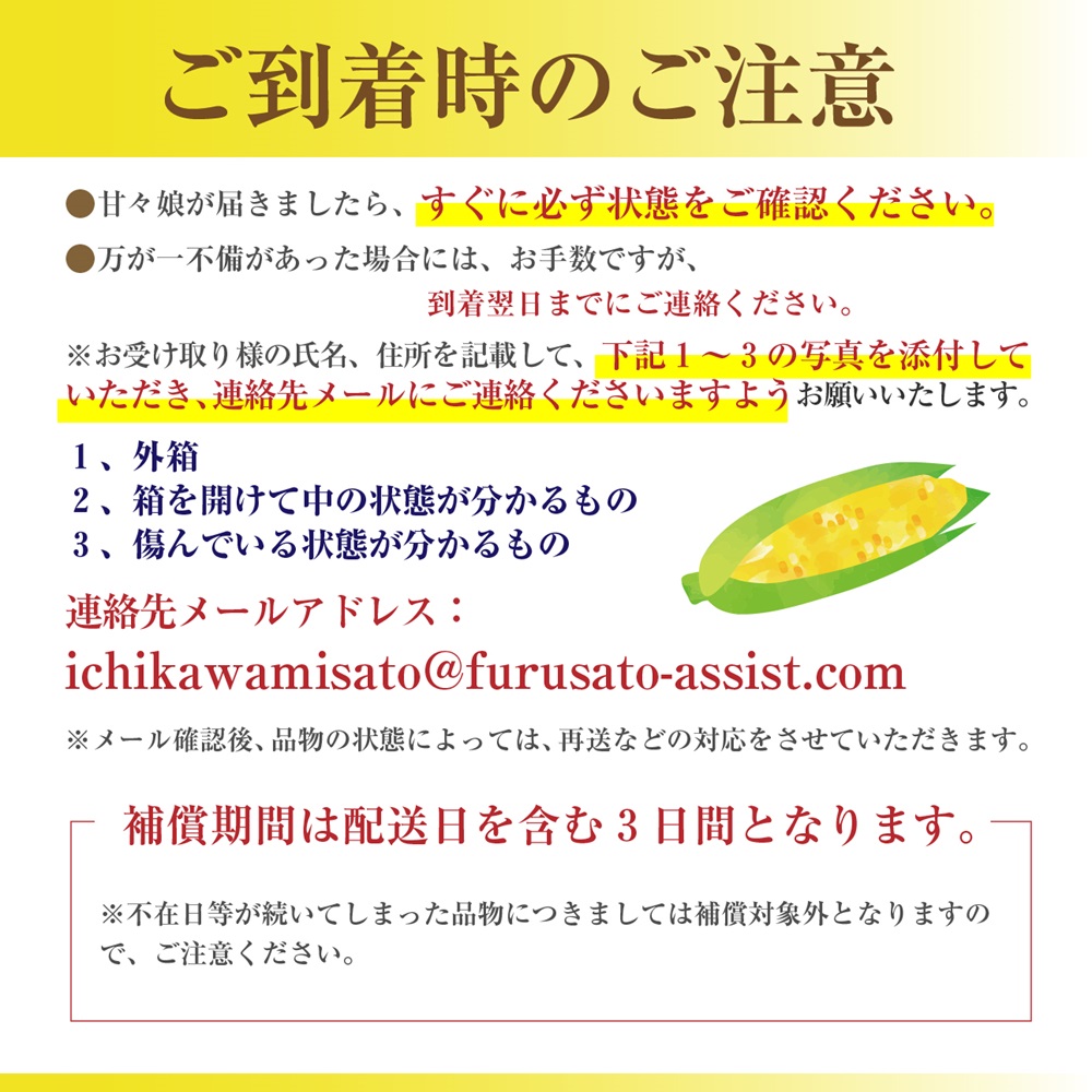 【先行予約】市川三郷町産とうもろこし「甘々娘」A品2Lサイズ　6本入り　塩島和誌農園[5839-2080]