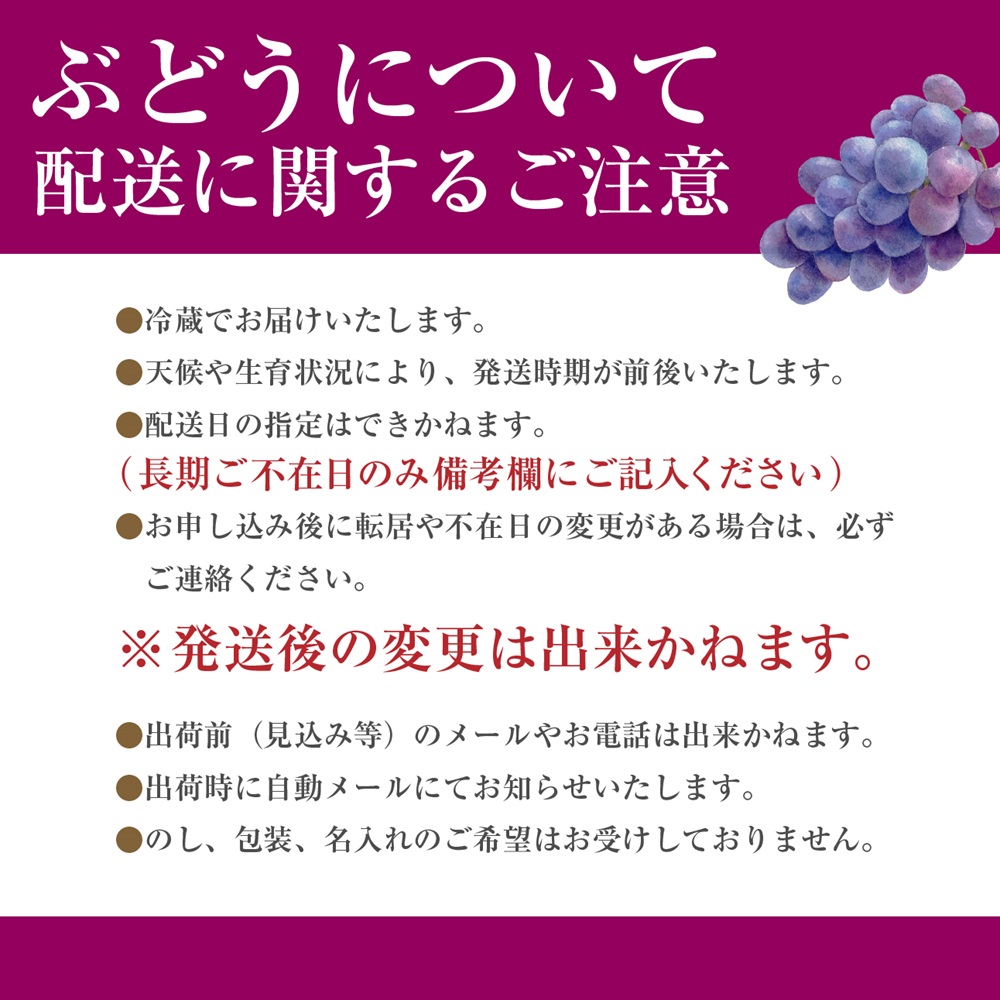 【2024年8月上中旬から発送】山梨県産 朝採り！サニールージュ　2キロ箱　古田農園[5839-1229]