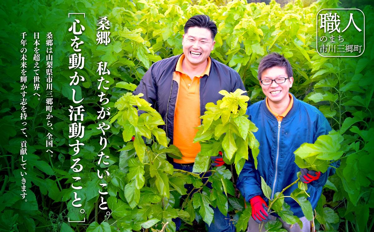 桑×抹茶・健康茶・飲むサラダ・青汁　60包×2箱 [5839-1340]