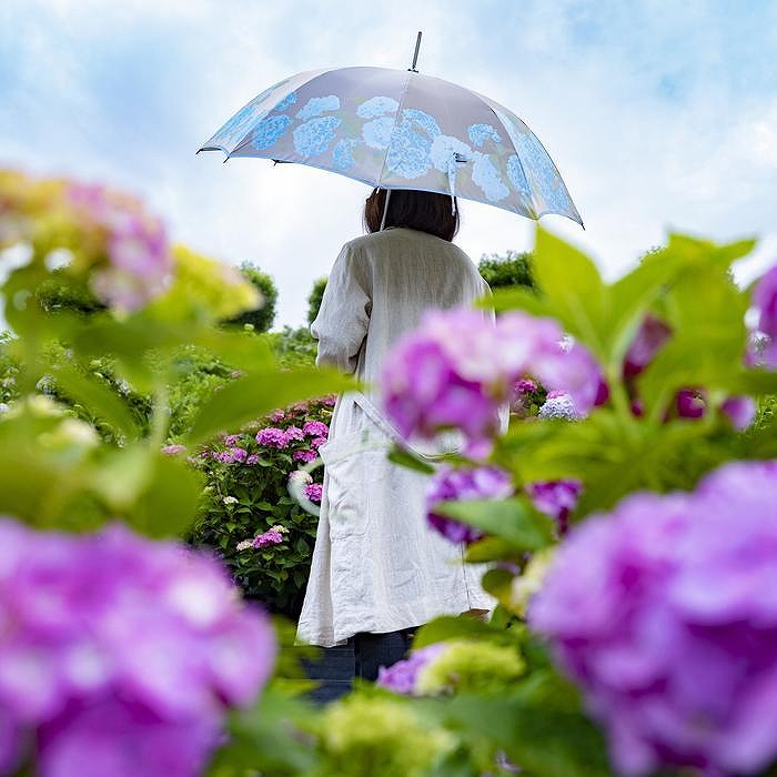 槙田商店【晴雨兼用】長傘 ”絵おり” 紫陽花 - ふるさとパレット ～東急