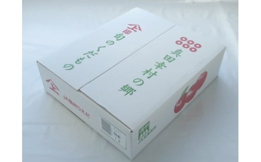 贈答用にも！JA信州うえだ「シナノゴールド」りんご 特秀約5kg