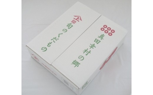 贈答用にも！JA信州うえだ「サンふじ」りんご 特秀約5kg