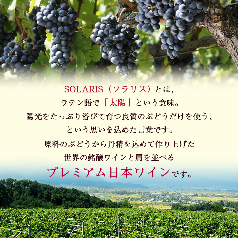 ソラリス 千曲川 カベルネ・ソーヴィニヨン ワイン 赤ワイン お酒 酒 アルコール 信州 長野