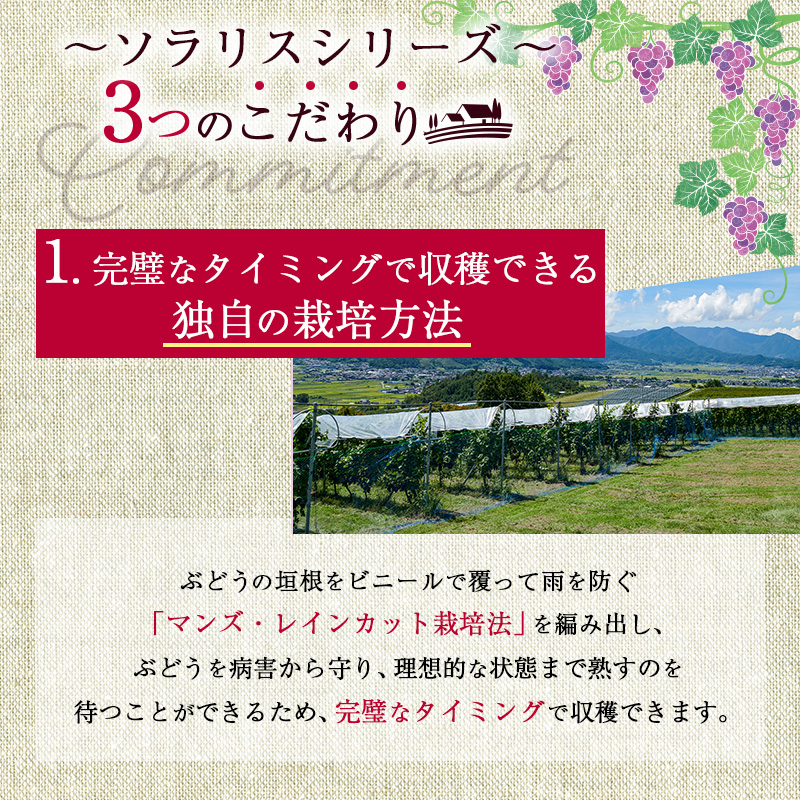 ソラリス 千曲川 カベルネ・ソーヴィニヨン ワイン 赤ワイン お酒 酒 アルコール 信州 長野