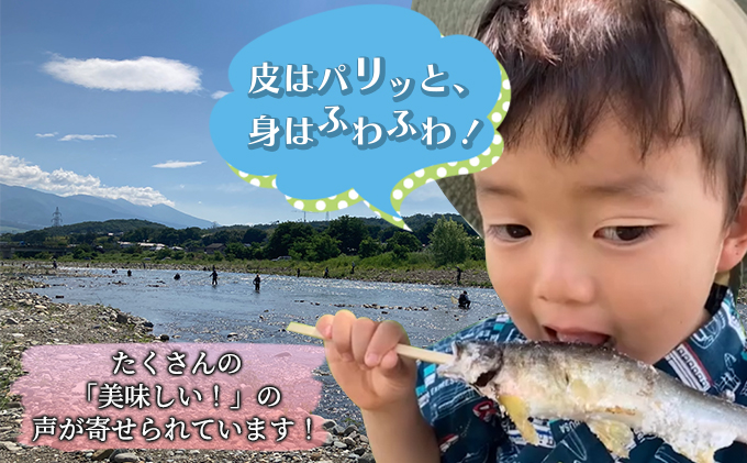  2024年9月発送 生産者直送！「信州あゆ 子持ち 」冷凍8尾入 長野 上田市