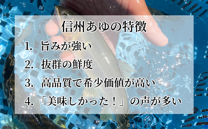 生産者直送「信州あゆ」冷凍10尾入り 長野 上田市