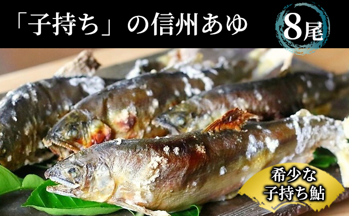  2024年9月発送 生産者直送！「信州あゆ 子持ち 」冷凍8尾入 長野 上田市