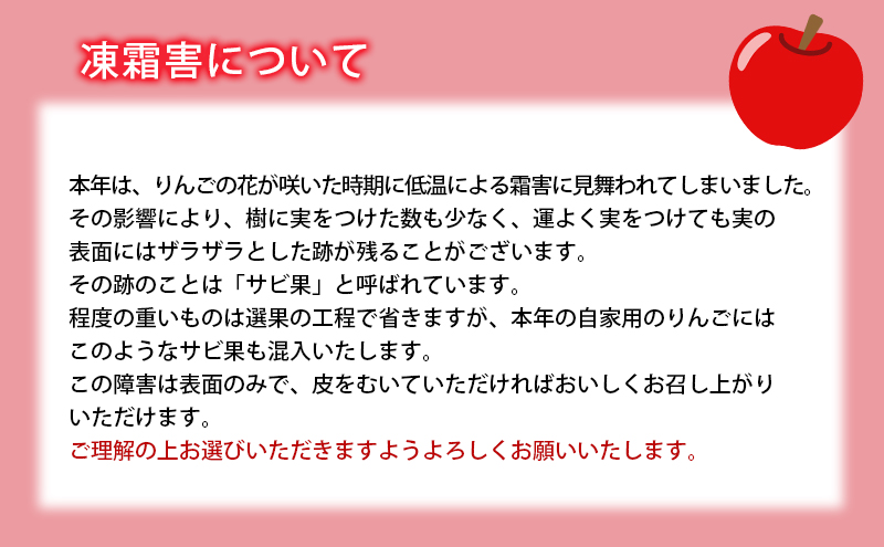 訳あり りんご JA信州うえだ 合戦りんご シナノゴールド 約10kg リンゴ