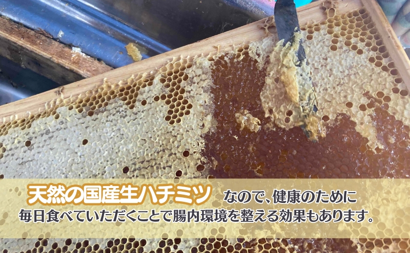 国産 生はちみつ 600g 3本セット アカシア 百花 くり セット 詰め合わせ 国産はちみつ 国産ハチミツ 天然蜂蜜 はちみつ 蜂蜜 ハニー 天然国産 非加熱 食べ比べ 食べ比べセット 信州産 長野県産 信州 長野 長野県 上田市