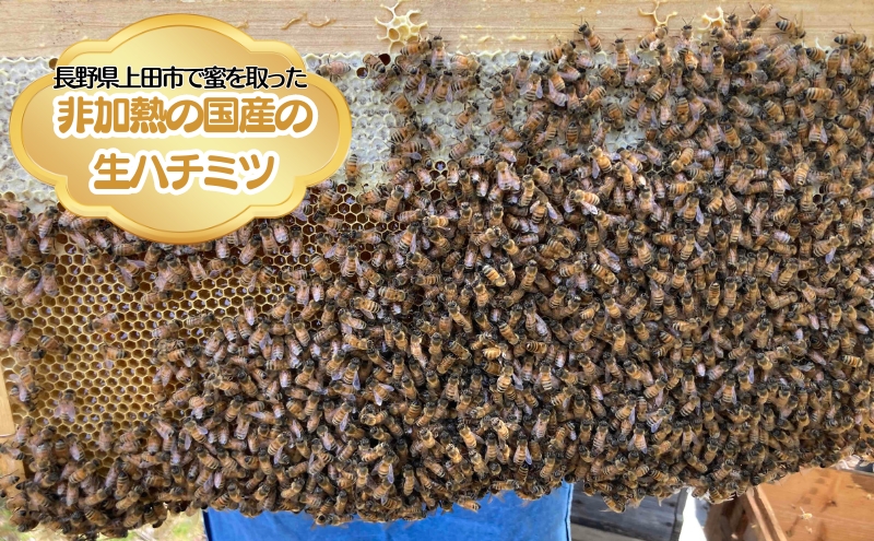 国産 生はちみつ 600g 3本セット アカシア 百花 くり セット 詰め合わせ 国産はちみつ 国産ハチミツ 天然蜂蜜 はちみつ 蜂蜜 ハニー 天然国産 非加熱 食べ比べ 食べ比べセット 信州産 長野県産 信州 長野 長野県 上田市