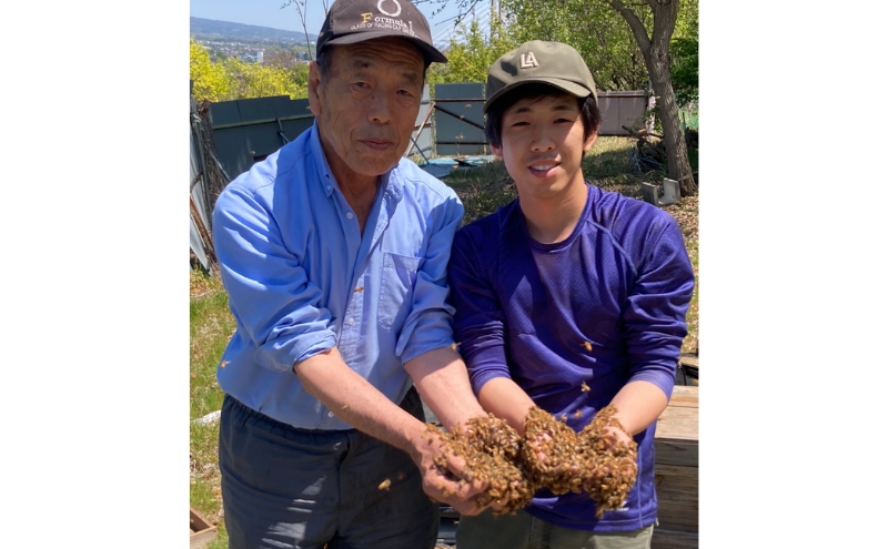 国産 生はちみつ 600g 3本セット アカシア 百花 ソバ セット 詰め合わせ 国産はちみつ 国産ハチミツ 天然蜂蜜 はちみつ 蜂蜜 ハニー 天然国産 非加熱 食べ比べ 食べ比べセット 信州産 長野県産 信州 長野 長野県 上田市