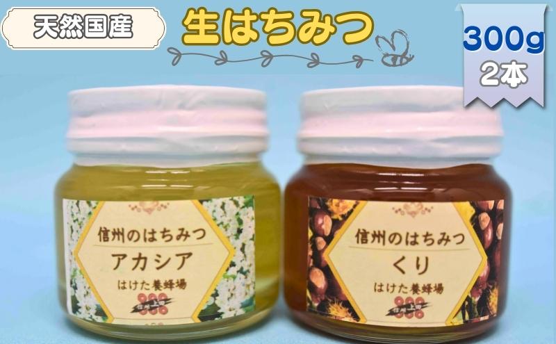 日本蜜蜂ミツバチ 自然界100生ハチミツ 570g×2本 新蜜2年物はちみつo