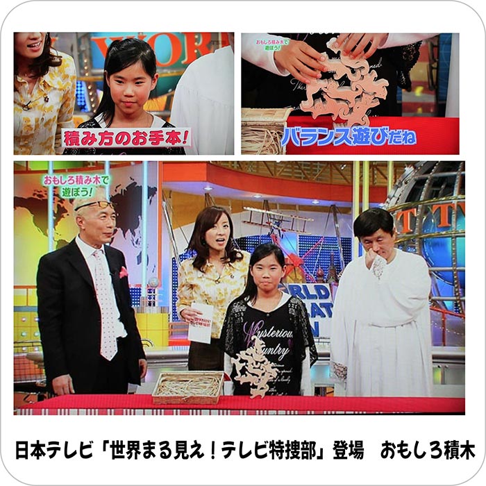 木のおもちゃ/ネコの自由積み木  世界まる見えテレビ特捜部に登場 知育玩具 出産祝い パズル 赤ちゃん おもちゃ 日本製 プレゼント 木製 リハビリ