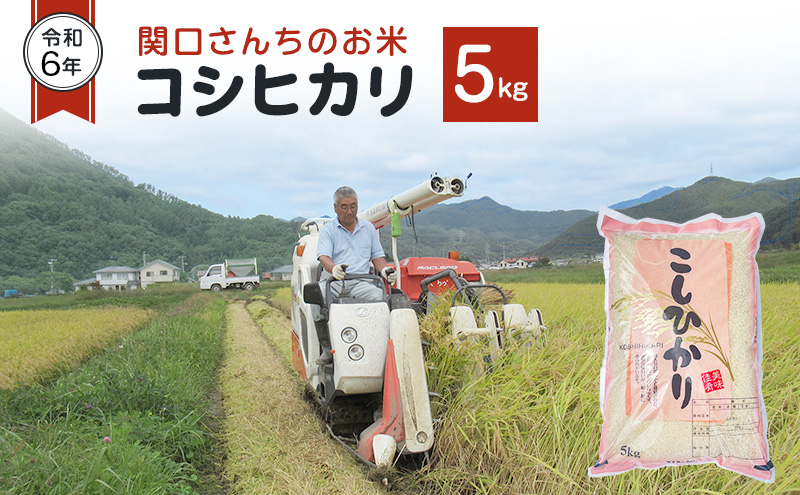 米 令和6年 関口さんちのお米 コシヒカリ 5kg お米 こめ コメ 精米 白米 ご飯 こしひかり 長野 信州