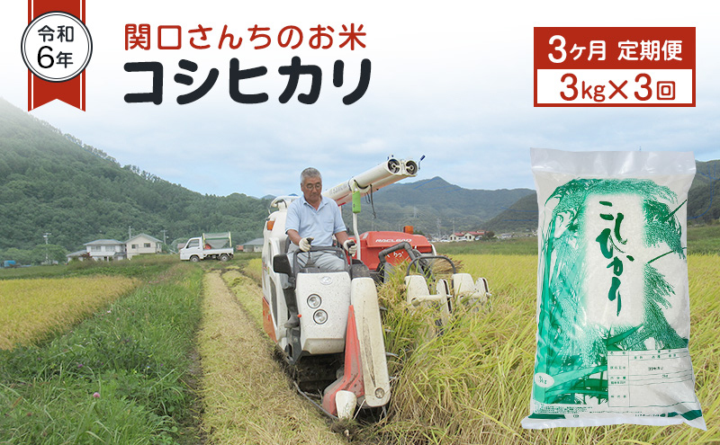 米 定期便 3ヶ月 令和6年 関口さんちのお米 コシヒカリ 3kg お米 こめ コメ 精米 白米 ご飯 こしひかり 長野 信州 3回 お楽しみ