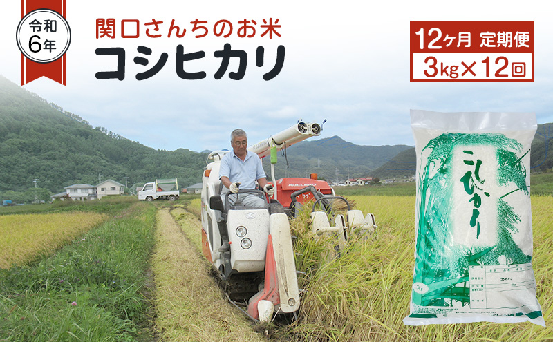 米 定期便 12ヶ月 令和6年 関口さんちのお米 コシヒカリ 3kg お米 こめ コメ 精米 白米 ご飯 こしひかり 長野 信州 12回 お楽しみ