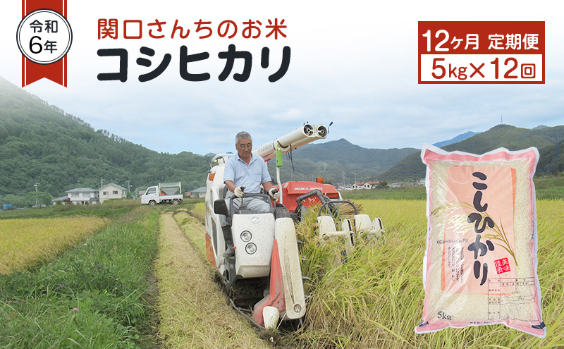 米 定期便 12ヶ月 令和6年 関口さんちのお米 コシヒカリ 5kg お米 こめ コメ 精米 白米 ご飯 こしひかり 長野 信州 12回 お楽しみ