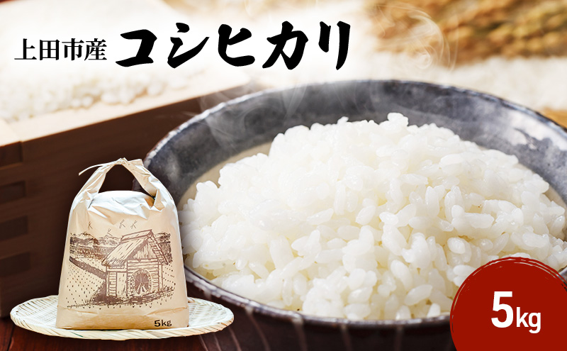 米 長野 コシヒカリ 5kg お米 こめ コメ おこめ 白米 精米 5キロ こしひかり 信州 長野県 上田市 上田