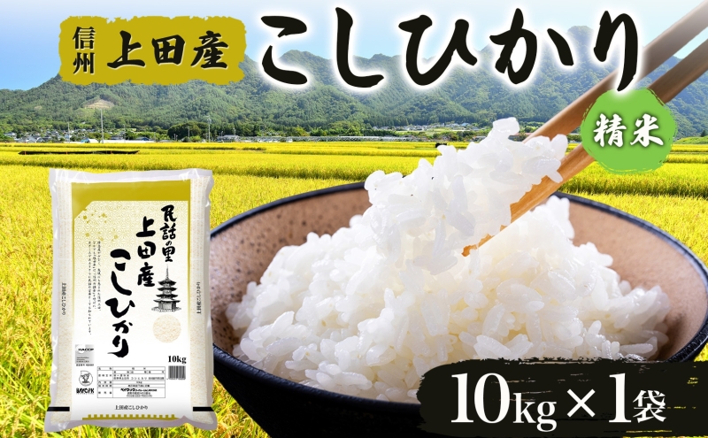 [新米予約]令和6年産 長野県 信州 上田市産 こしひかり 10kg×1袋 計10kg 精米 白米 ブランド米 銘柄米 コシヒカリ ご飯 ライス お弁当 おにぎり 主食 国産 日本産 和食 お取り寄せ