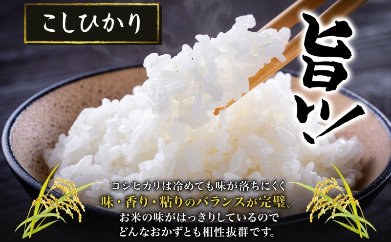 【新米予約】令和6年産 長野県 信州 上田市産 こしひかり 10kg×1袋 計10kg 精米 白米 ブランド米  銘柄米 コシヒカリ ご飯 ライス お弁当 おにぎり 主食 国産 日本産 和食 お取り寄せ