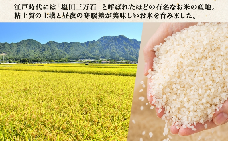 【新米予約】令和6年産 長野県 信州 上田市産 こしひかり 10kg×1袋 計10kg 精米 白米 ブランド米  銘柄米 コシヒカリ ご飯 ライス お弁当 おにぎり 主食 国産 日本産 和食 お取り寄せ