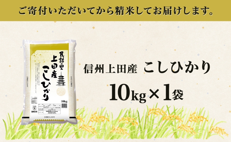 【新米予約】令和6年産 長野県 信州 上田市産 こしひかり 10kg×1袋 計10kg 精米 白米 ブランド米  銘柄米 コシヒカリ ご飯 ライス お弁当 おにぎり 主食 国産 日本産 和食 お取り寄せ