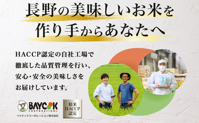 【新米予約】令和6年産 長野県 信州 上田市産 こしひかり 10kg×1袋 計10kg 精米 白米 ブランド米  銘柄米 コシヒカリ ご飯 ライス お弁当 おにぎり 主食 国産 日本産 和食 お取り寄せ