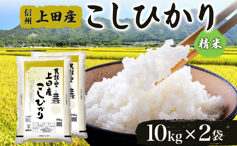 【新米予約】 令和6年産 長野県 信州 上田市産 こしひかり 10kg×2袋 計20kg 精米 白米 ブランド米  銘柄米 コシヒカリ ご飯 ライス お弁当 おにぎり 主食 国産 日本産 和食 お取り寄せ