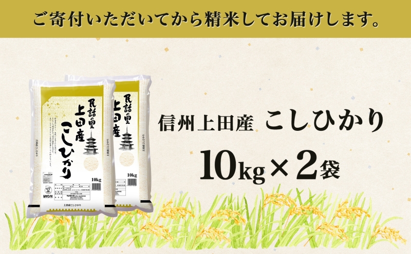 【新米予約】 令和6年産 長野県 信州 上田市産 こしひかり 10kg×2袋 計20kg 精米 白米 ブランド米  銘柄米 コシヒカリ ご飯 ライス お弁当 おにぎり 主食 国産 日本産 和食 お取り寄せ