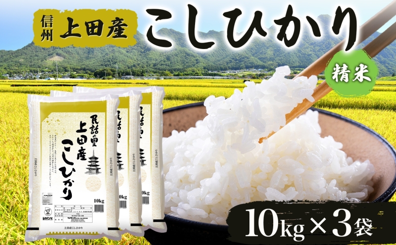 [新米予約] 令和6年産 長野県 信州 上田市産 こしひかり 10kg×3袋 計30kg 精米 白米 ブランド米 銘柄米 コシヒカリ 産地直送 主食 国産 日本産 和食 お取り寄せ