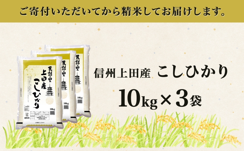 【新米予約】 令和6年産 長野県 信州 上田市産 こしひかり 10kg×3袋 計30kg 精米 白米 ブランド米  銘柄米 コシヒカリ 産地直送 主食 国産 日本産 和食 お取り寄せ