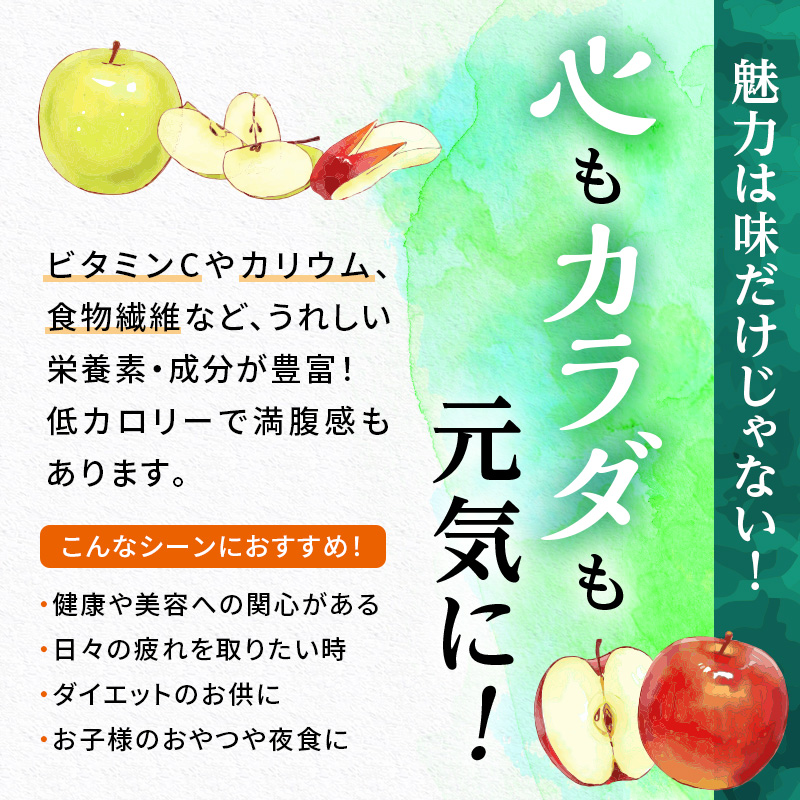 りんご 信州上田産 サンふじ 家庭用 約3kg 8～9個 林檎 リンゴ 3kg サンフジ 果物 くだもの フルーツ デザート 旬の果物 旬のフルーツ 傷 長野県 長野