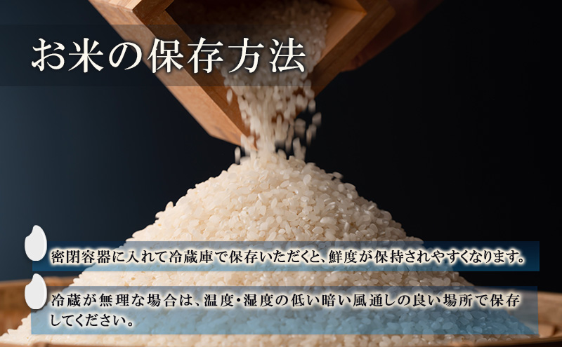 米 長野 風さやか 6kg （2kg×3個） 小分け お米 こめ コメ 白米 精米 オリジナル米 ブランド米 かぜさやか 信州 上田市