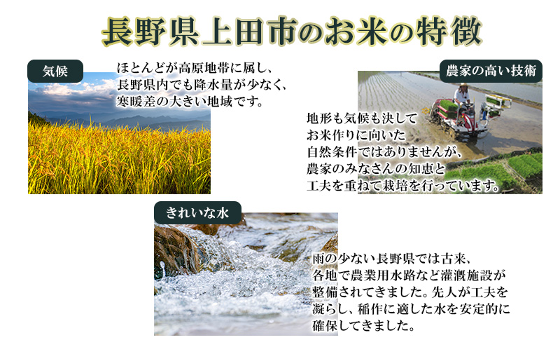 米 長野 コシヒカリ 5kg お米 こめ コメ おこめ 白米 精米 5キロ こしひかり 信州 長野県 上田市 上田