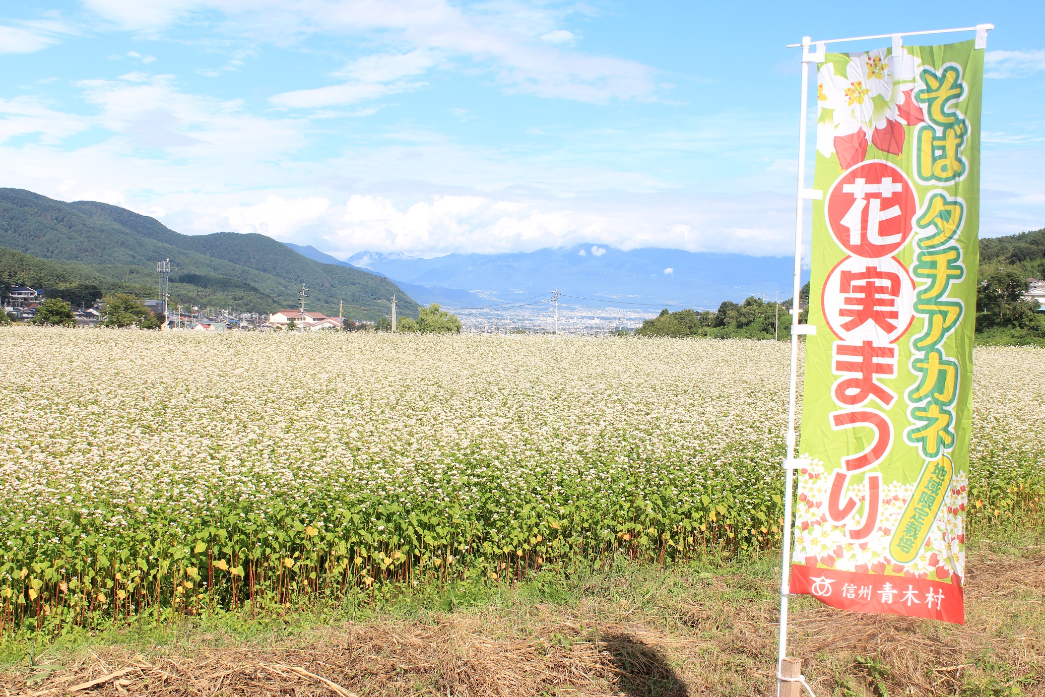 青木村限定タチアカネ蕎麦粉(約500g×3袋)