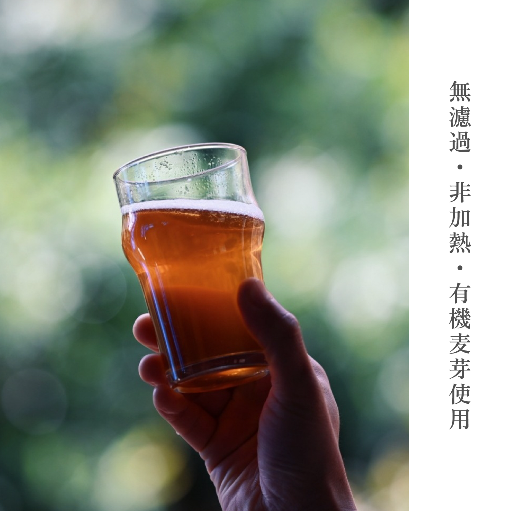 Nobara Homestead Brewery 信州青木村産クラフトビール　330ml×6本セット