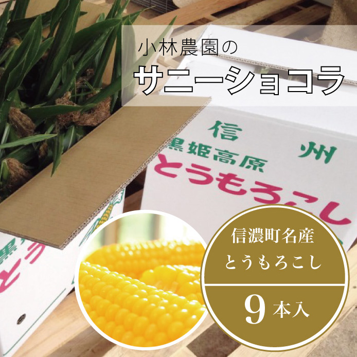 【完売】 小林農園のとうもろこし（９本セット）　信濃町産サニーショコラ　２０２４年８月上旬以降、随時発送☆生産者直送【長野県信濃町ふるさと納税】