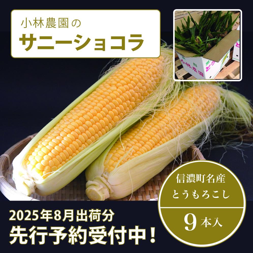  小林農園の信濃町産スイートコーン「サニーショコラ（9本セット）」令和7年8月上旬～出荷予定【2025年夏のご予約受付開始！】 生産者直送とうもろこし【長野県信濃町ふるさと納税】