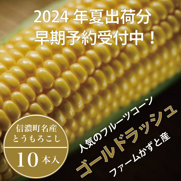 【品切れ御礼！】 信濃町名産とうもろこし『ファームかずとのゴールドラッシュ 10本セット』｜２０２４年８月上旬以降のお届け☆生産者直送【長野県信濃町ふるさと納税】　