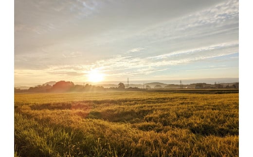 【現在出荷中】2024年産の新米！ 仁の蔵の「信濃町産 こしひかり５kg」 名水弘法清水が湧き出る黒姫山麓で育った自慢のお米です！ 【長野県信濃町ふるさと納税】
