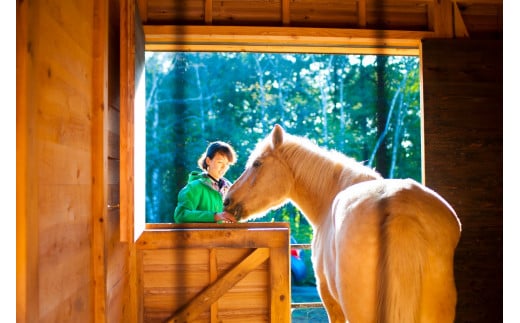 「アファンホースロッジ」ホースステイ利用券☆4名分・１泊2食付き／馬とともに過ごす暮らしを体験　１０万円相当の宿泊利用券　C.W.ニコル アファンの森 【長野県信濃町ふるさと納税】