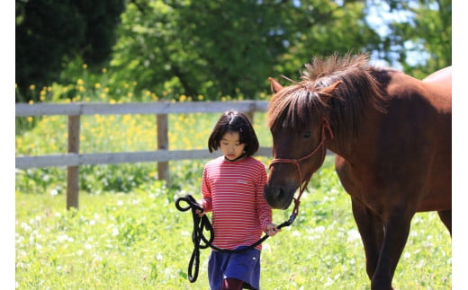 「アファンホースロッジ」ホースステイ利用券☆4名分・１泊2食付き／馬とともに過ごす暮らしを体験　１０万円相当の宿泊利用券　C.W.ニコル アファンの森 【長野県信濃町ふるさと納税】