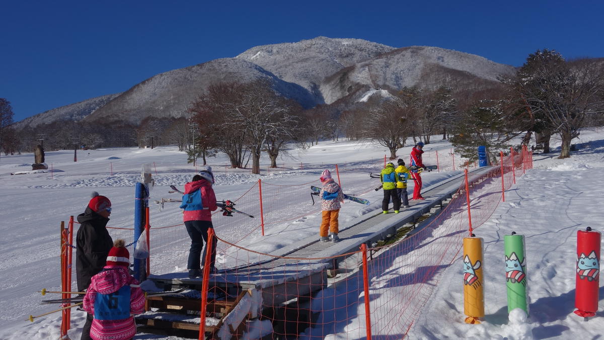 【長野県信濃町ふるさと納税】黒姫スキー学校1日レッスン券：ジュニア（小学1～4年生）