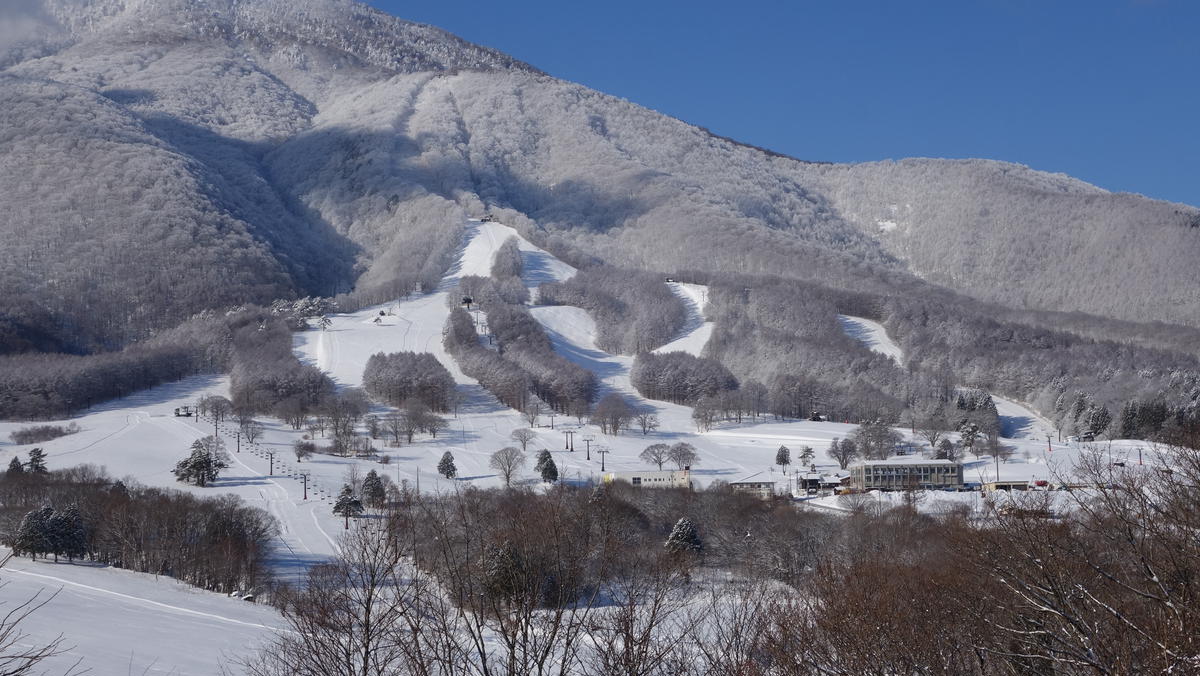 【長野県信濃町ふるさと納税】黒姫スキー学校：検定パック（2日コース）☆シーズン中は毎週検定試験を開催