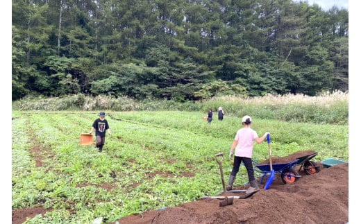 【現在出荷中 締切間近！】信濃町信濃町名産とうもろこし『TAKA農園の恵味（めぐみ）スター』２Lサイズ（1本400ｇ強）×11本セット、約4.5kg／スイートコーンの人気品種を早期予約限定で受付中！ 2024年7月15～25日の限定出荷予定【長野県信濃町ふるさと納税】