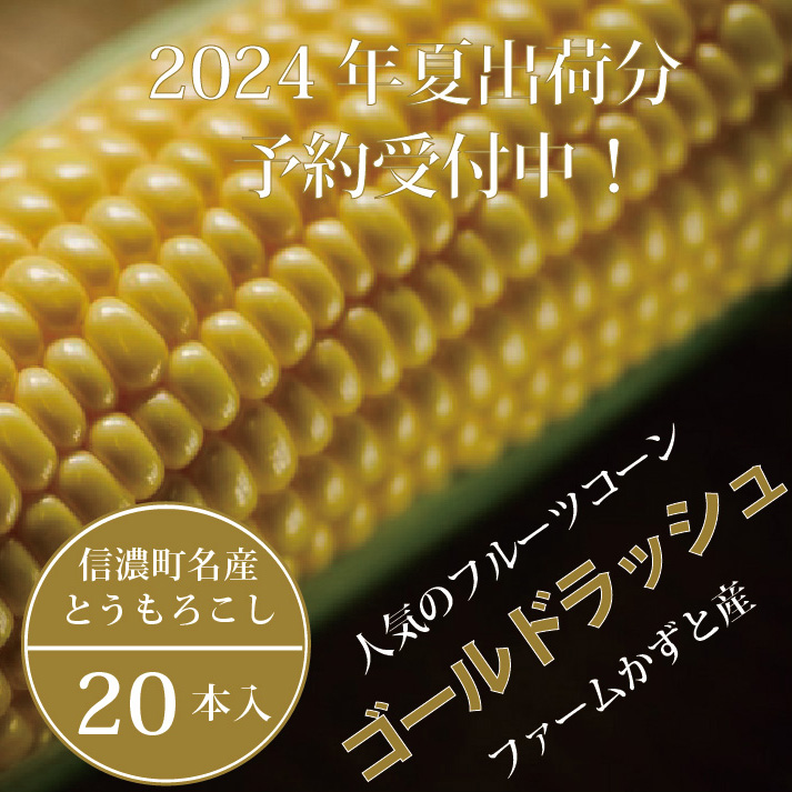 【現在出荷中！】 信濃町名産とうもろこし『ファームかずとのゴールドラッシュ 20本セット』｜２０２４年８月上旬以降のお届け☆生産者直送【長野県信濃町ふるさと納税】　