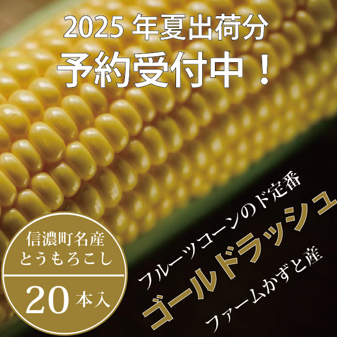 信濃町名産とうもろこし『ファームかずとのゴールドラッシュ 20本セット』【2025年夏出荷分・先行予約受付開始！】生産者直送 令和7年8月〜順次出荷【長野県信濃町ふるさと納税】　