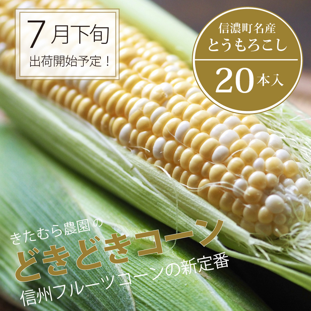 【品切れ御礼！】きたむら農園『どきどきコーン』×20本セット（約8～8.5kg相当）信濃町名産とうもろこし／スイートコーンの新定番品種、現在出荷中！【長野県信濃町ふるさと納税】