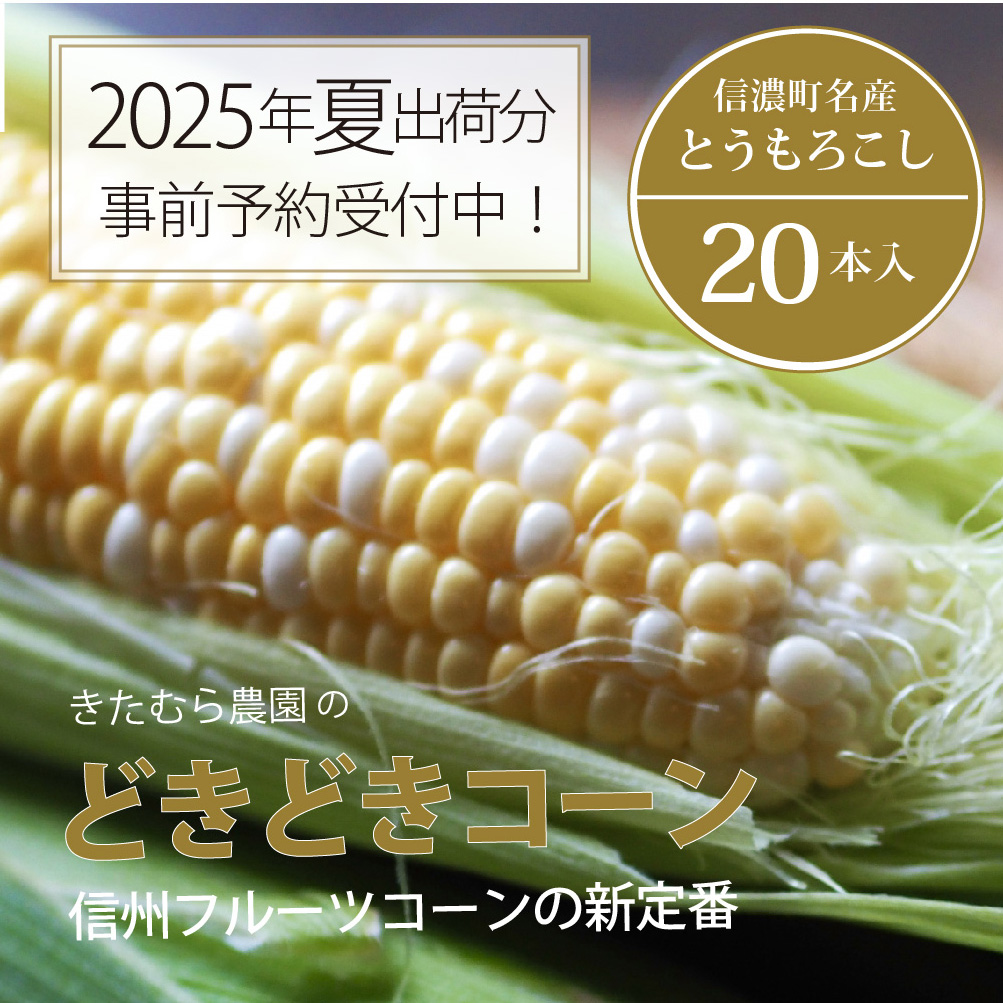 きたむら農園『どきどきコーン』×20本セット（約8～8.5kg相当）2025年夏出荷分 先行予約開始！ 信濃町名産とうもろこし／スイートコーンの新定番品種、申し込み受付中！ 令和7年7月下旬～8月下旬に随時出荷 【長野県信濃町ふるさと納税】