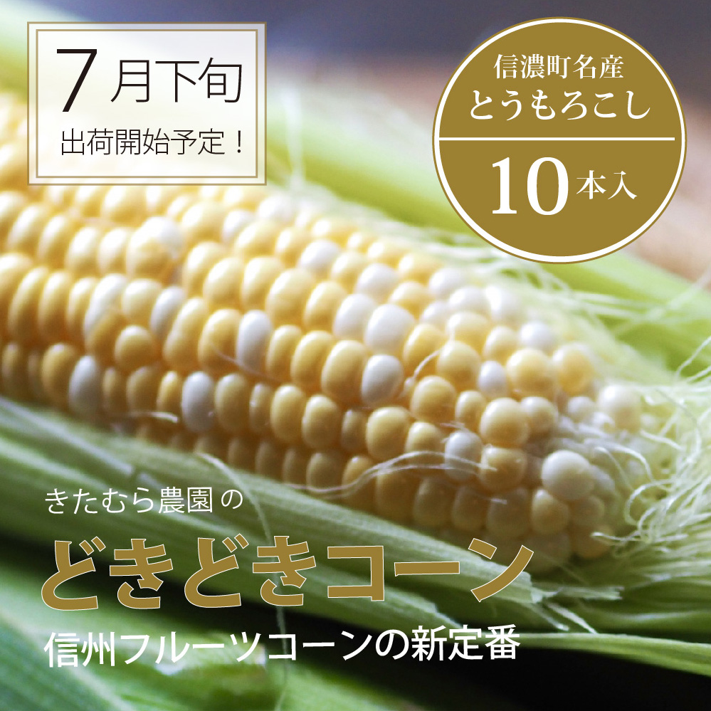 【品切れ御礼！】きたむら農園『どきどきコーン』×10本セット（約4～4.2kg相当）信濃町名産とうもろこし／スイートコーンの定番品種、現在出荷中！【長野県信濃町ふるさと納税】